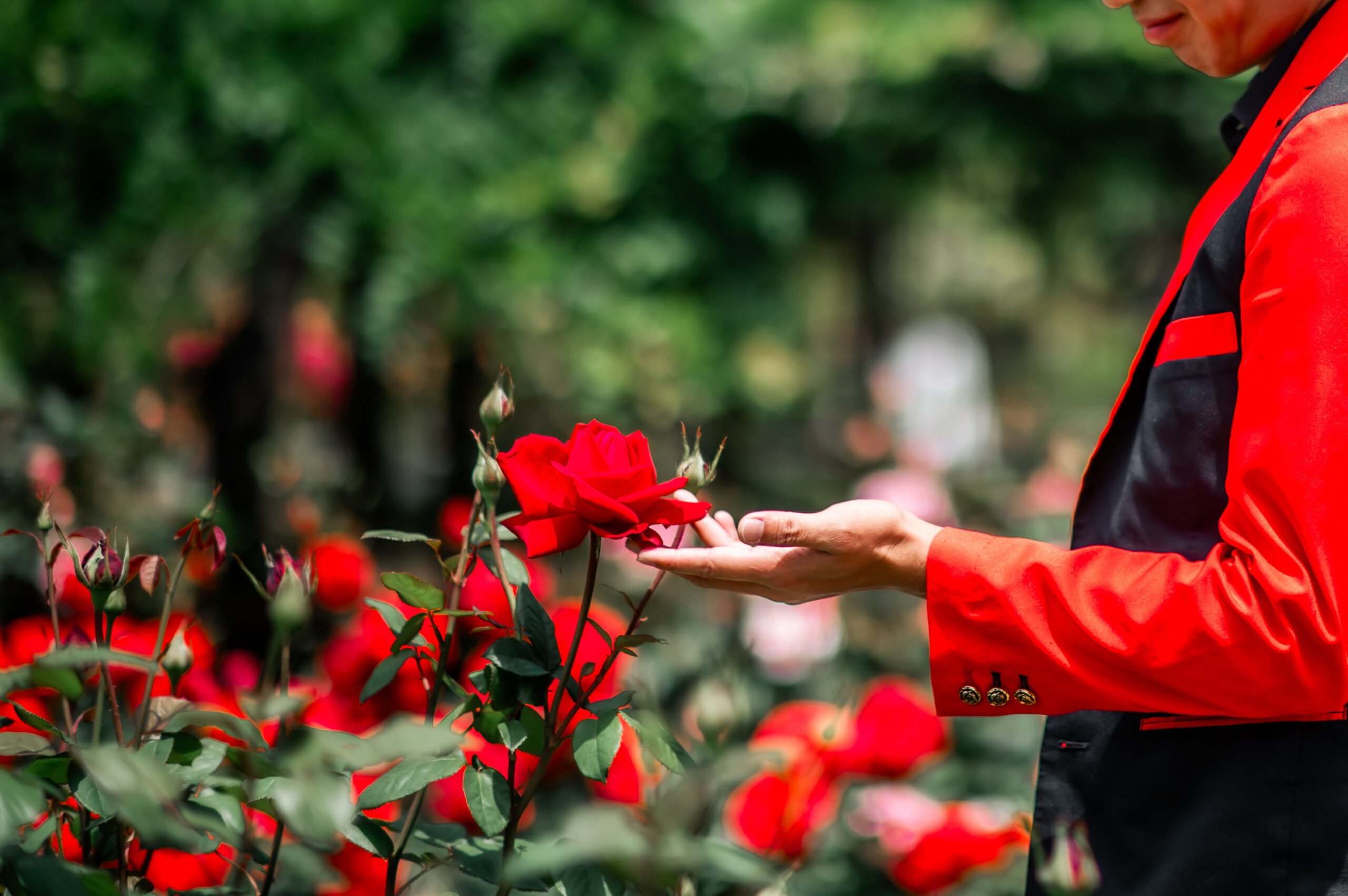 2025年11月のスケジュール